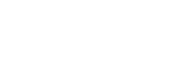 Lifelines Neuro Logo