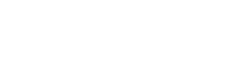 Lifelines Neuro Logo